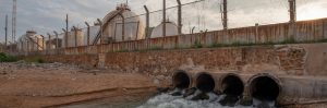 toxicidad del agua